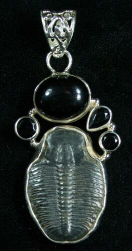 Sterling Silver Elrathia Trilobite Pendant #4869